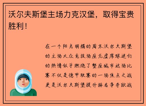沃尔夫斯堡主场力克汉堡，取得宝贵胜利！