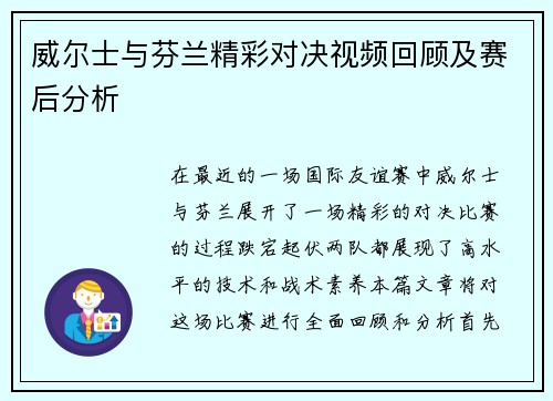 威尔士与芬兰精彩对决视频回顾及赛后分析